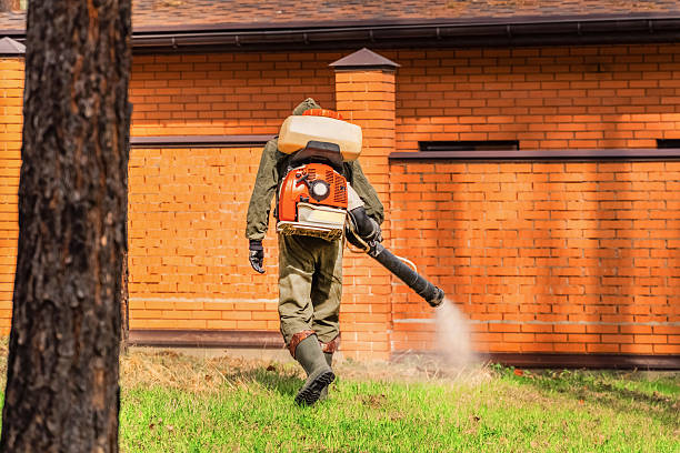 Trusted Emergency Pest Control service in Edwardsville, KS - Nex Pest Control